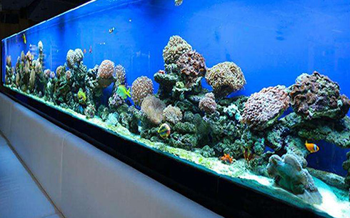 想把合肥水族工程项目做好，细节很重要！